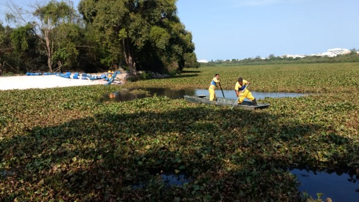 Vereador luta por limpeza permanente na Lagoinha, Canal das Taxas e do Rio Morto