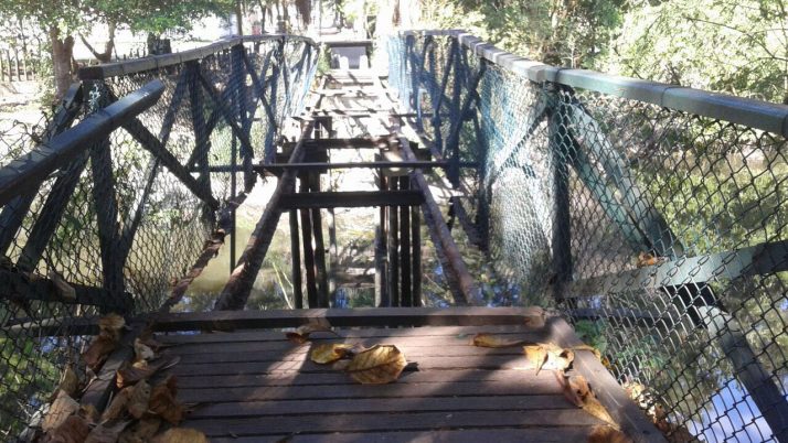 Caiado faz abaixo-assinado solicitando inicio imediato de recuperação das pontes de madeira