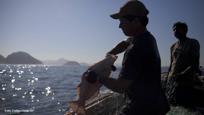 É lei: Pesca artesanal vira patrimônio cultural e imaterial do Rio